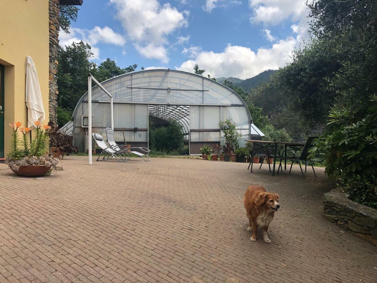 Agriturismo Argentea Βίλα Arenzano Εξωτερικό φωτογραφία